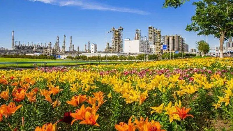EVA白色母粒：价格波动背后的行业逻辑**